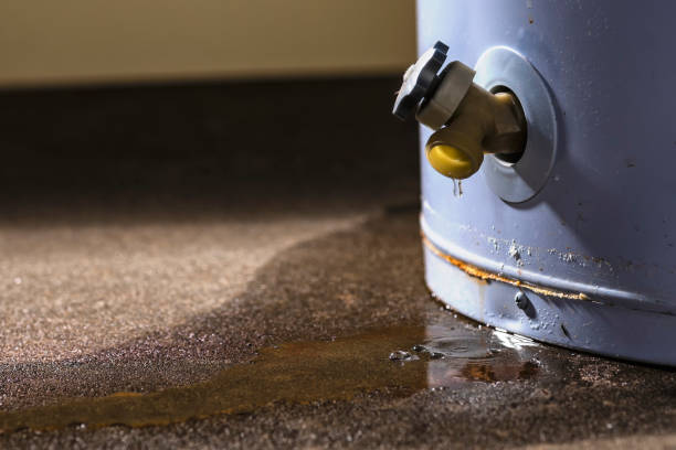 Best Water damage restoration insurance claims  in Beaver Creek, TX