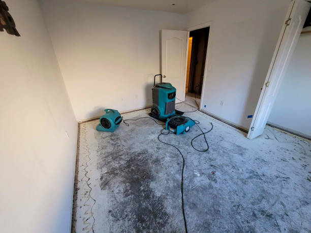 Best Water damage cleanup near me  in Beaver Creek, TX