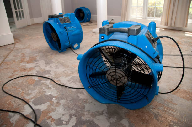 Best 24-hour water damage restoration  in Beaver Creek, TX