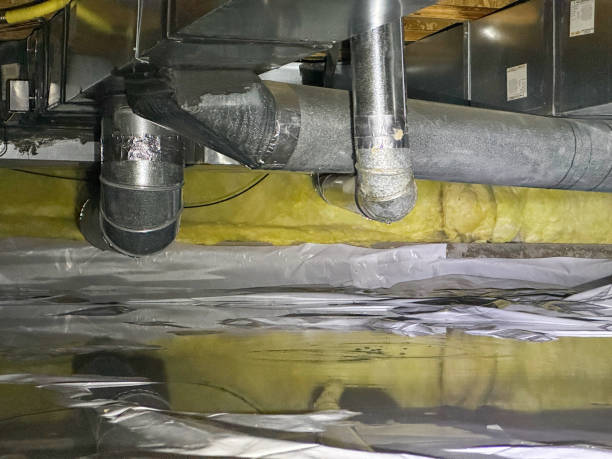 Best Water damage contractors near me  in Beaver Creek, TX